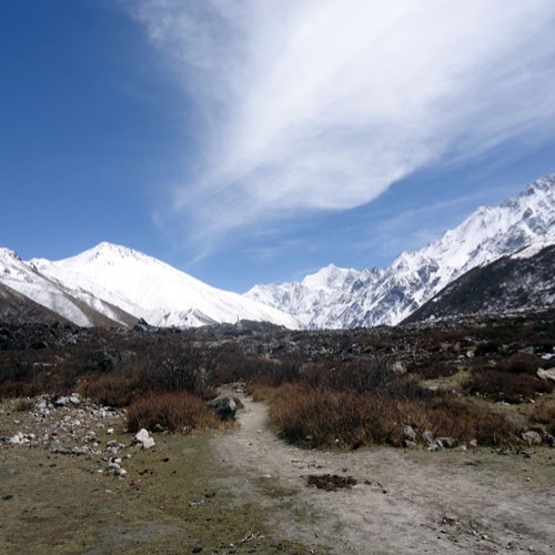 Best Time to Go for Langtang Trek
