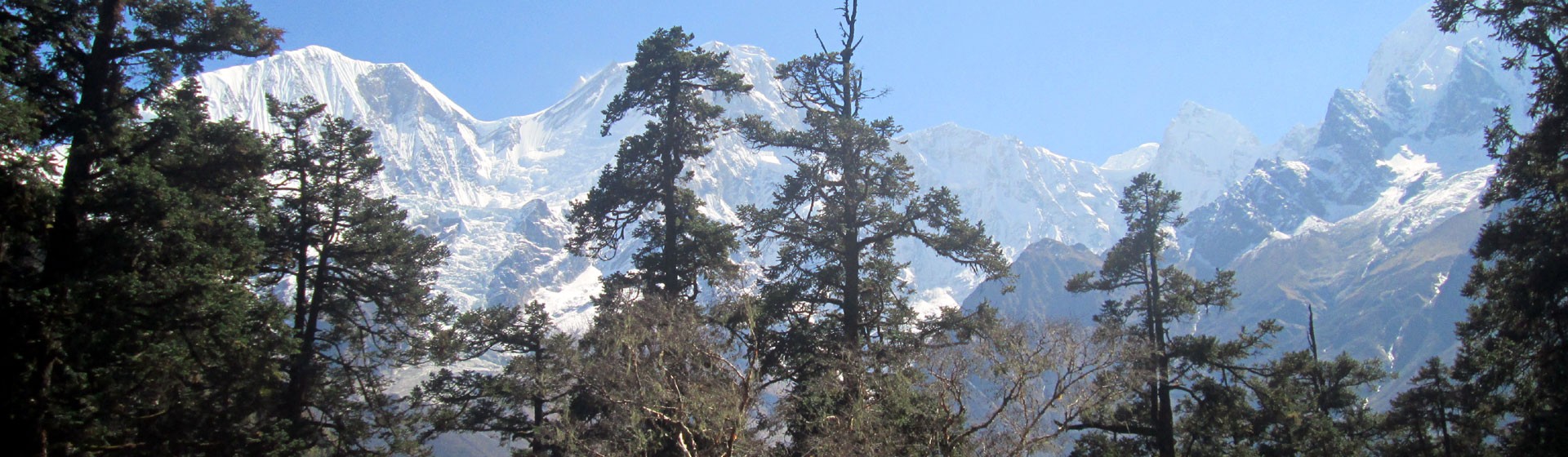 Dharapani Village Nepal: Everything Trekkers Should Know After the Manaslu Circuit