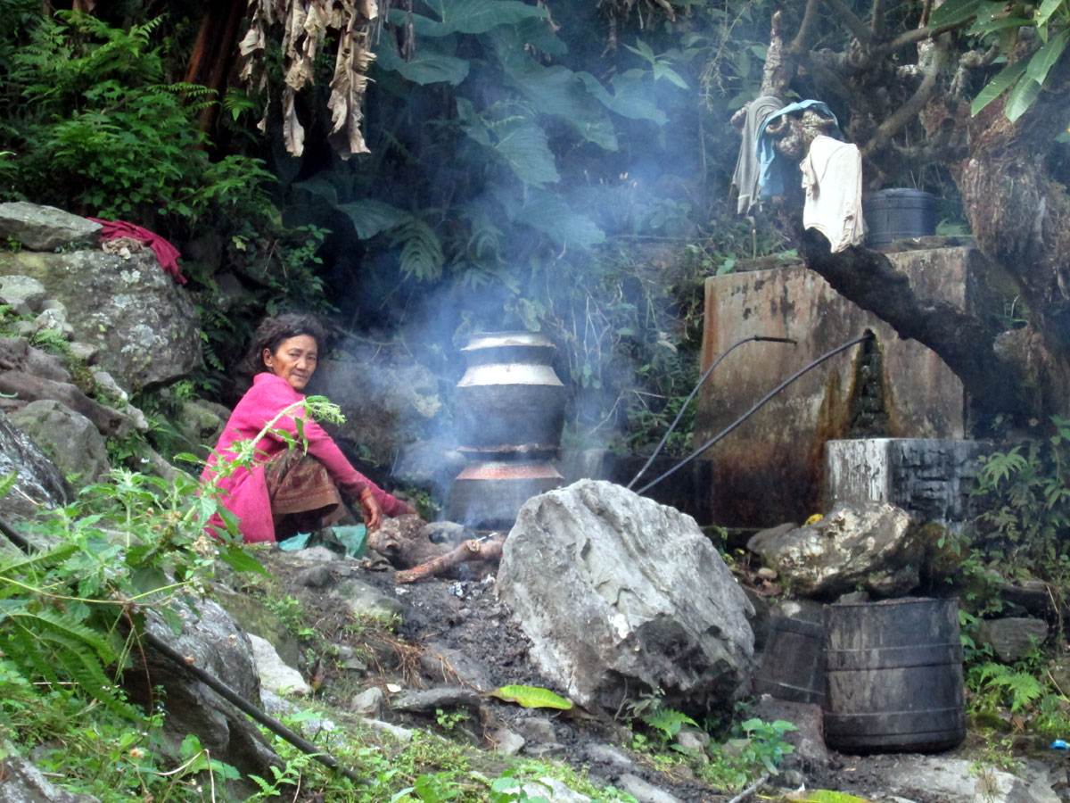 Traditional homemade millet wine preparation in Machha Khola