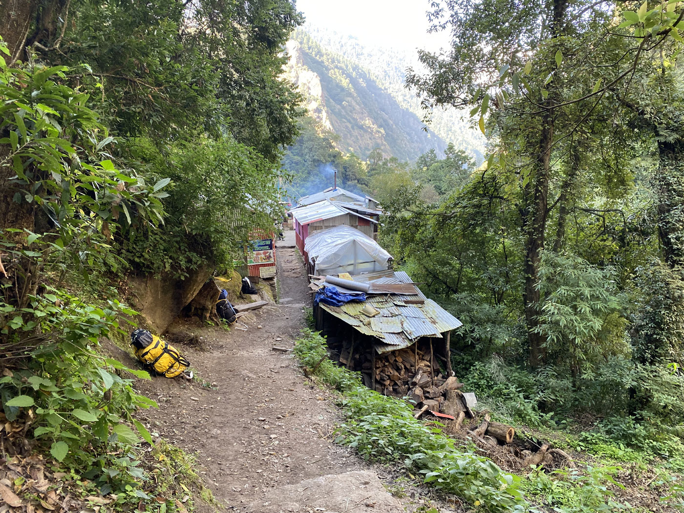 Green forest trail during monsoon in Langtang Valley with wet path and river