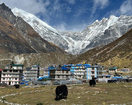  Day Langtang Trek