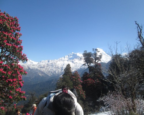 Annapurna Poon Hill Trek