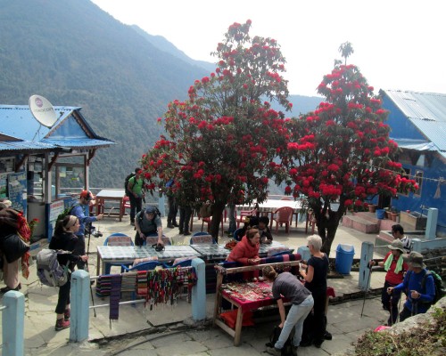Poon Hill Trek